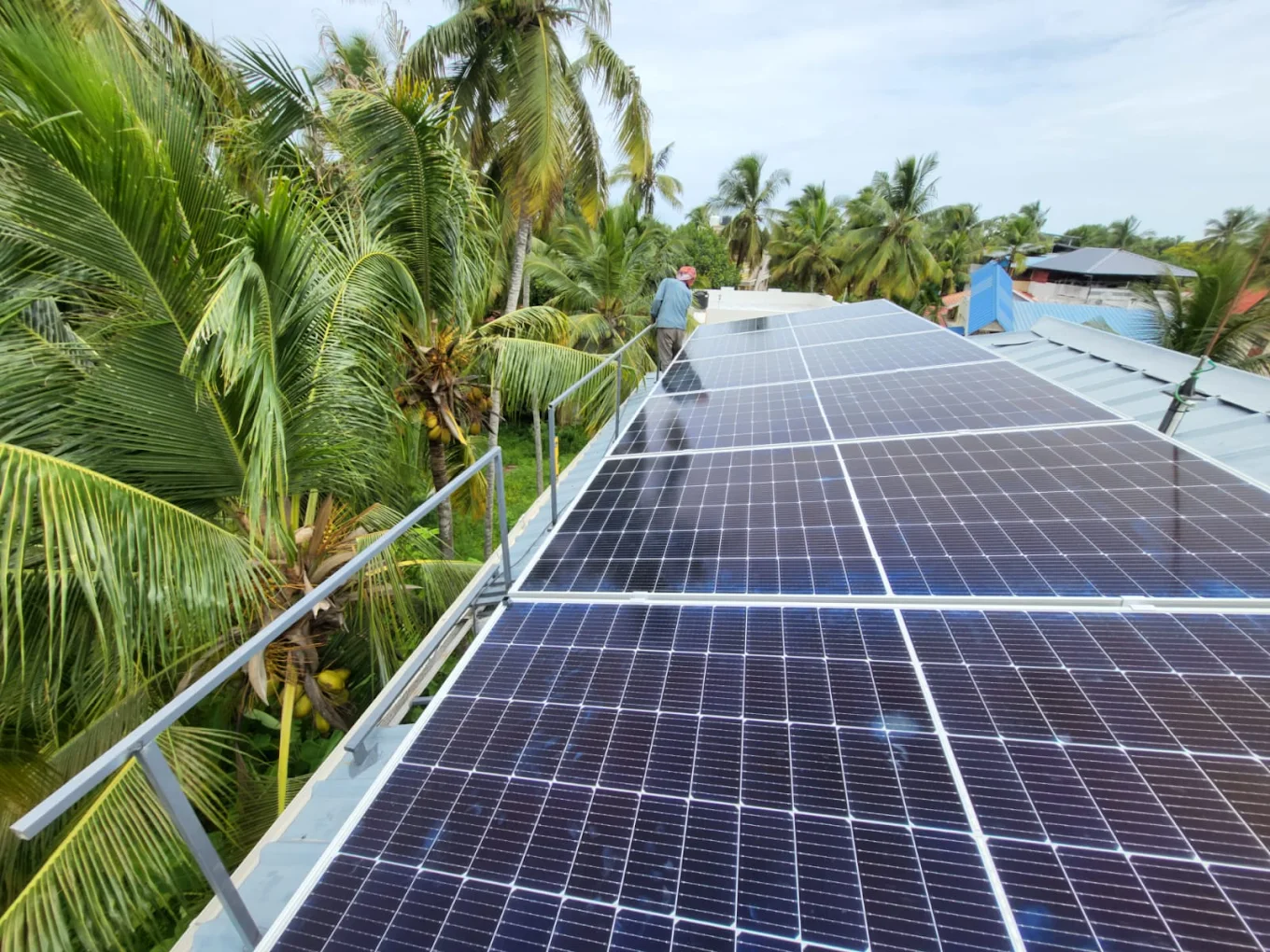 Solar panels installed on a rooftop with palm trees